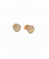 Gold earrings