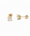 Gold earrings