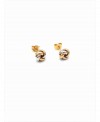 Gold earrings