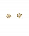 Gold earrings